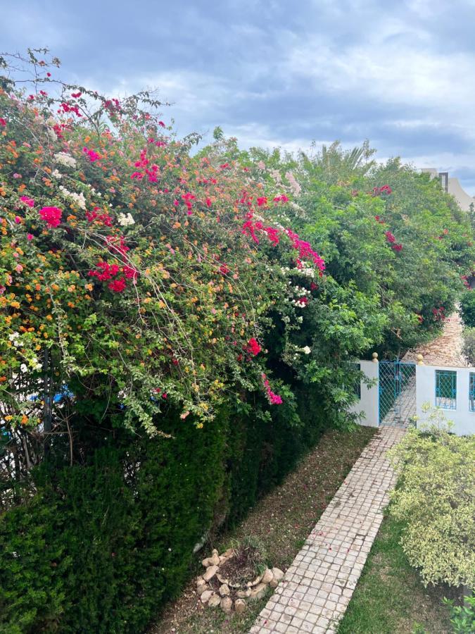 Appartement Rayhan Yasmine Hammamet Kültér fotó